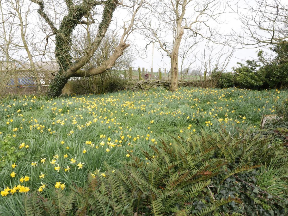 Bodegri Cottage Llanfflewyn エクステリア 写真