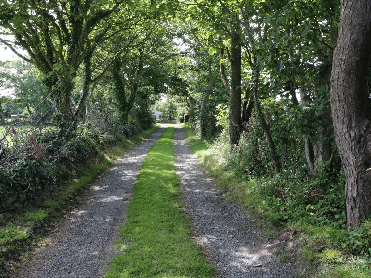 Bodegri Cottage Llanfflewyn エクステリア 写真
