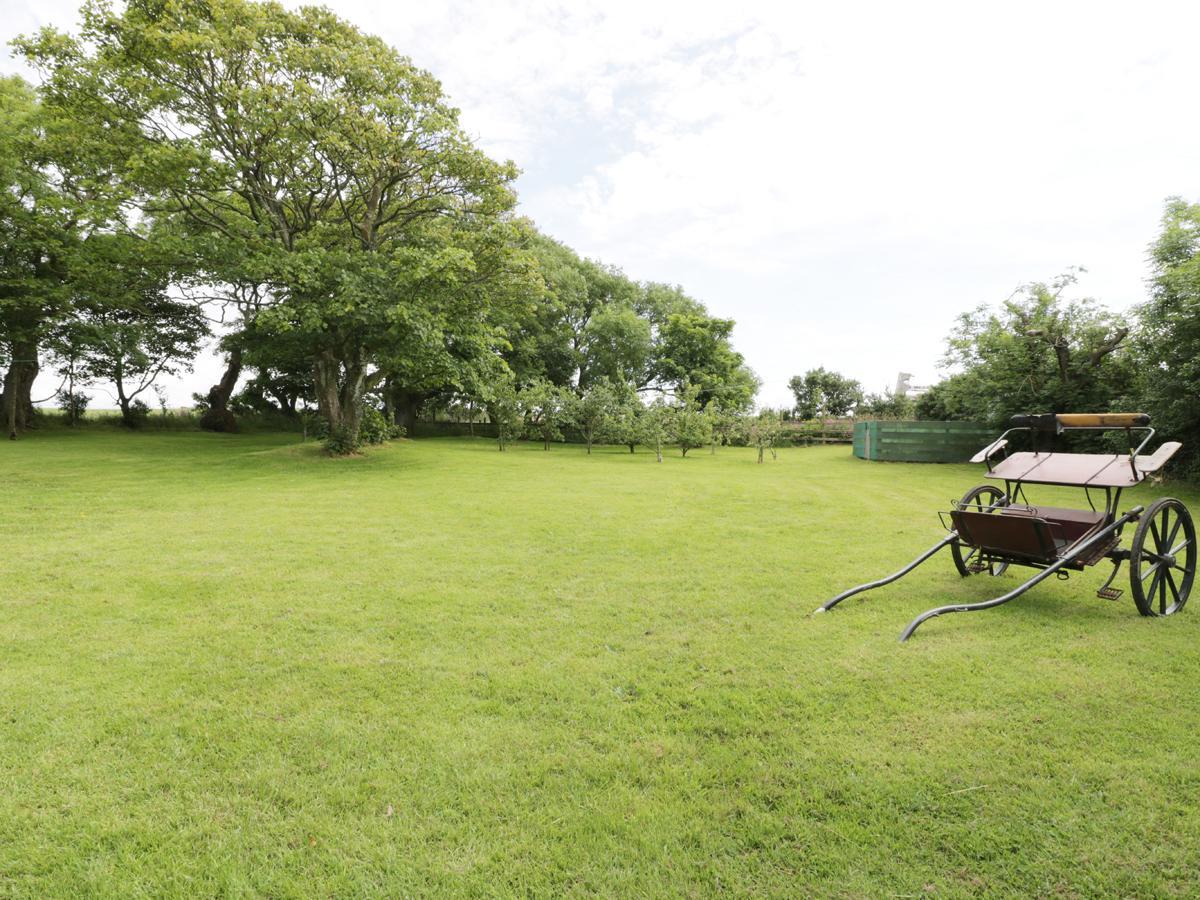 Bodegri Cottage Llanfflewyn エクステリア 写真